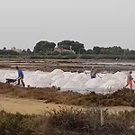 Mareluna Marsala
